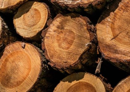 Timber