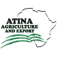 Atina